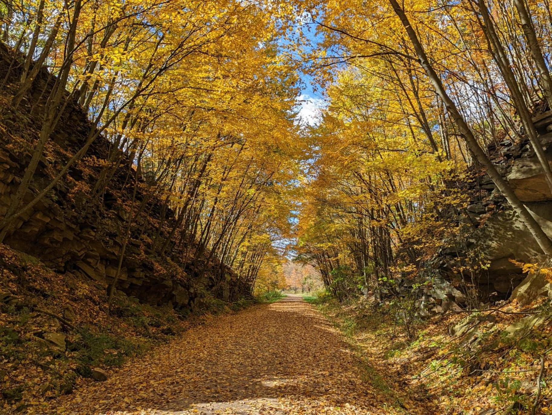 Stay In Ohiopyle Near Gap Trail, Restaurants, & The Fallls Ngoại thất bức ảnh